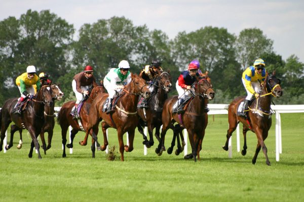 Horse Racing for Beginners - What You Should Know about The Sport
