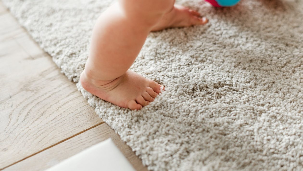 Why You Should Consider Hiring A Carpet Cleaning Service