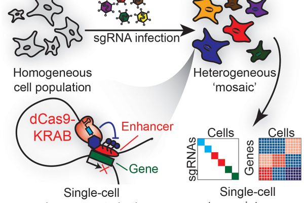 Single cell RNA-seq analysis