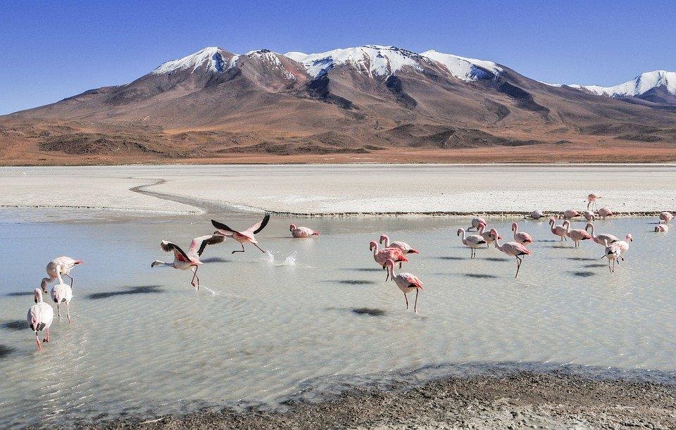 4 Astonishing Facts About Bolivia That You Should Know