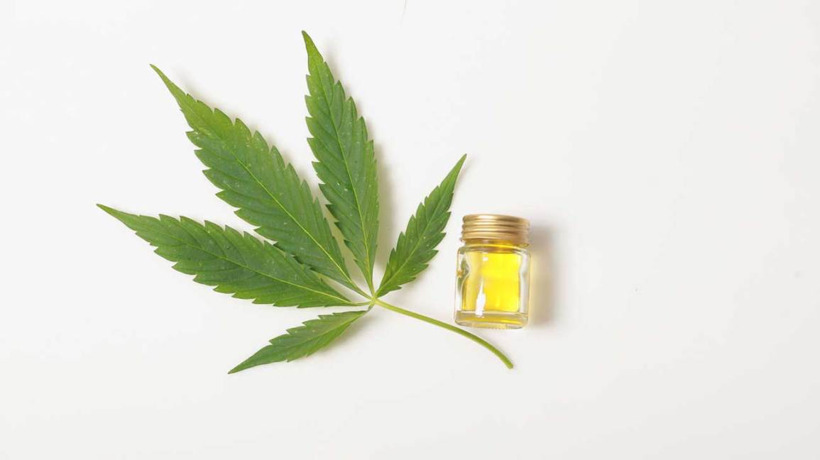 An In-depth Guide on How to Take CBD