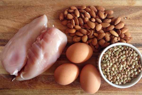 protein food sources
