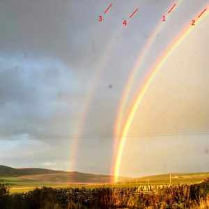 reflected rainbows