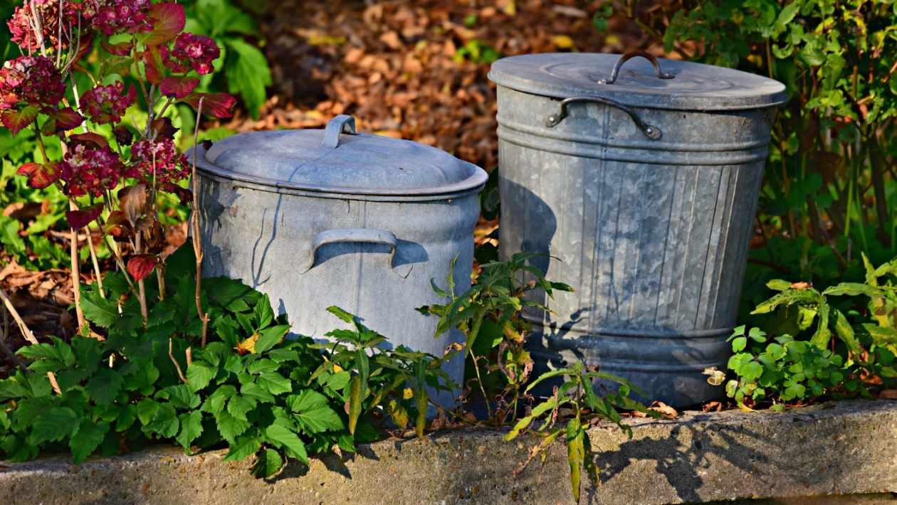 How to Recycle Your Waste at Home