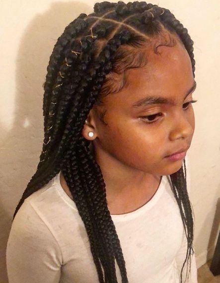 African American Braid Hairstyles 2022 For Kids