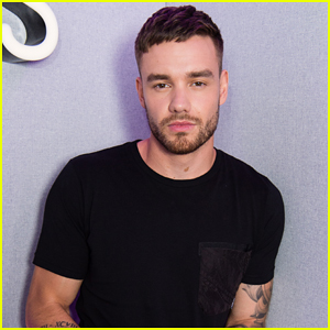 Liam Payne favorite things, color, book, food, hobbies, instrument, and sport
