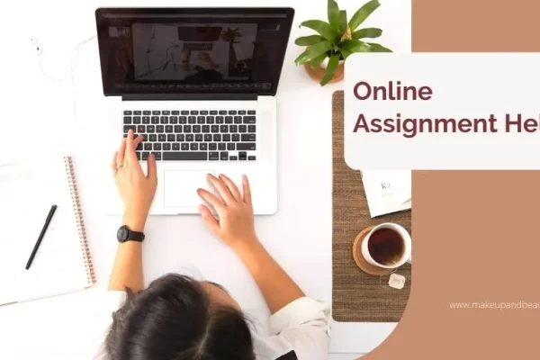 Pros and cons of different online assignment help platforms