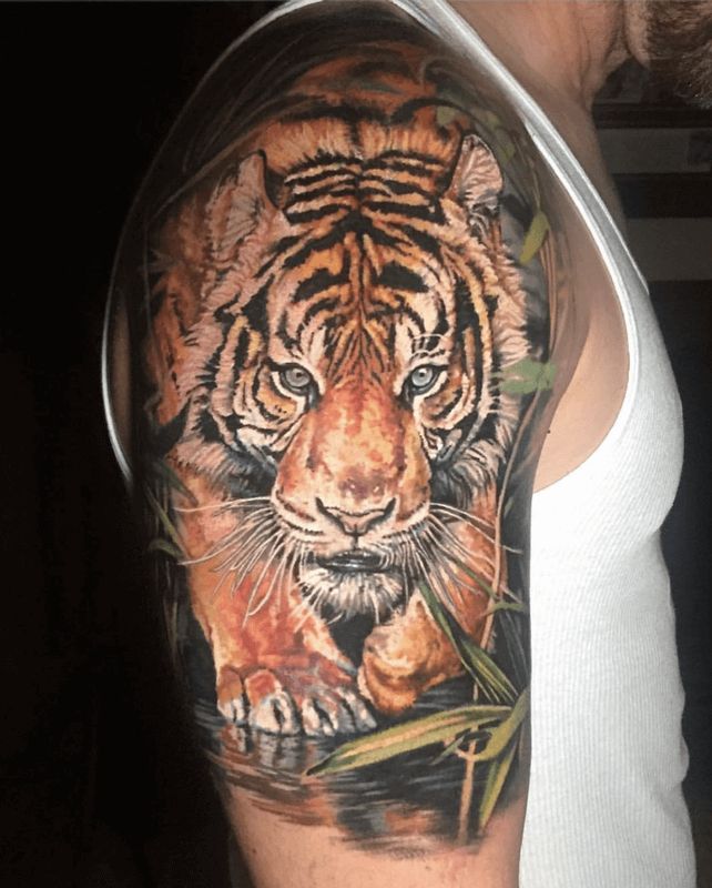 Half Sleeve Tattoo Depicting A Tiger