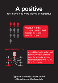 The blood related characteristics and Japanese theory