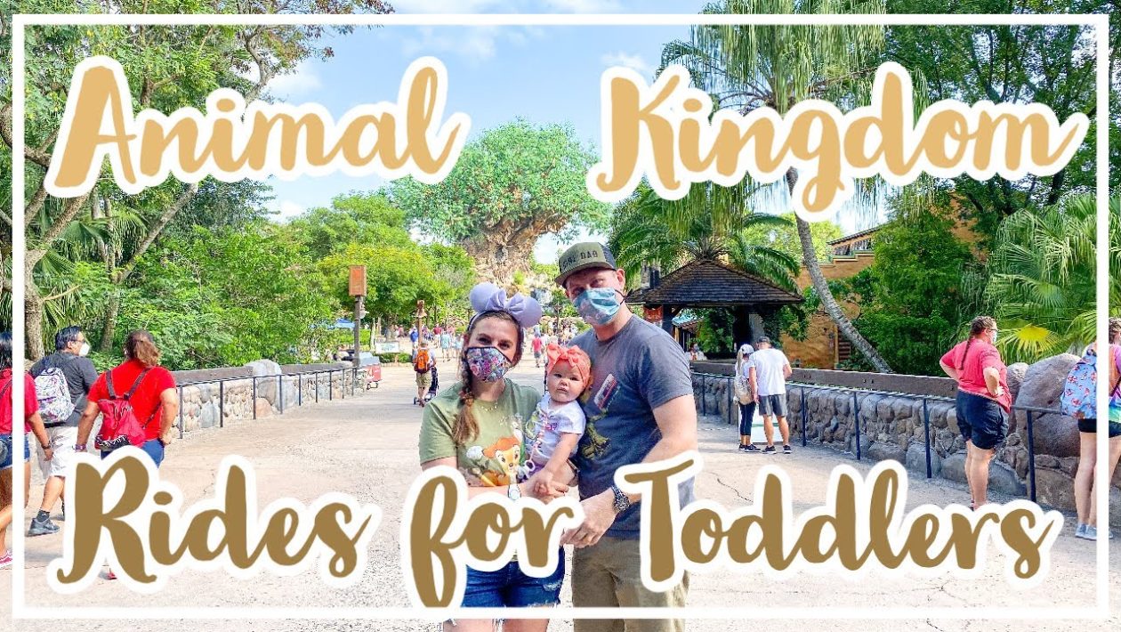 Animal Kingdom With Toddlers