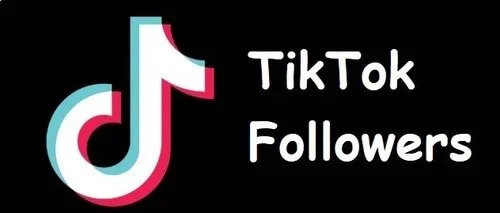 TikTok Follower Hacks