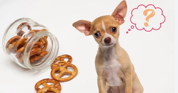 Can Dogs Have Pretzels