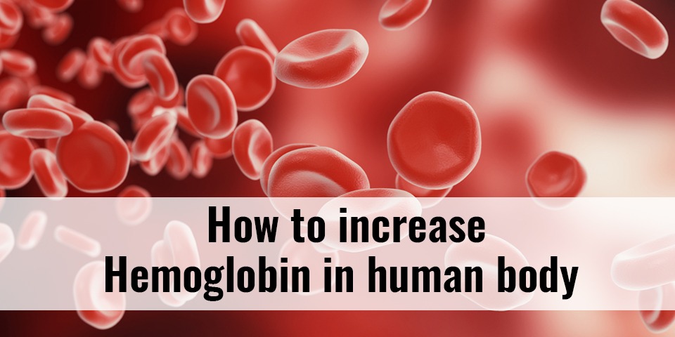 How To Increase Hemoglobin